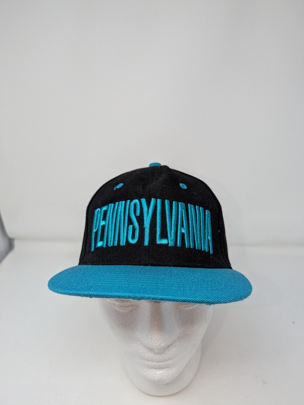 Pennsylvania Embroidered Snapback Hat in Black & Teal